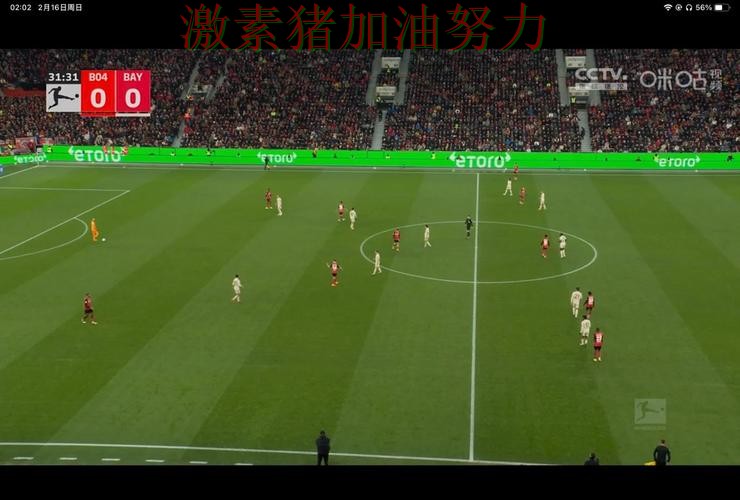 拜仁防线告急背后细节曝光