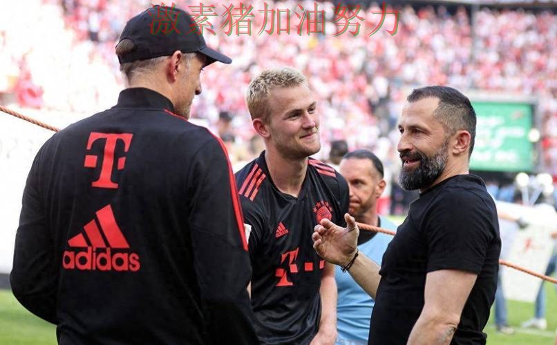 拜仁防线告急背后细节曝光